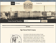 Tablet Screenshot of elginnumbers.com